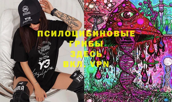 крисы Козловка